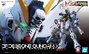 RG BANDAI CROSSBONE GUNDAM X-1