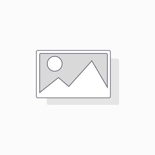GUNDAM DECAL BANDAI MG Acguy Decal #14